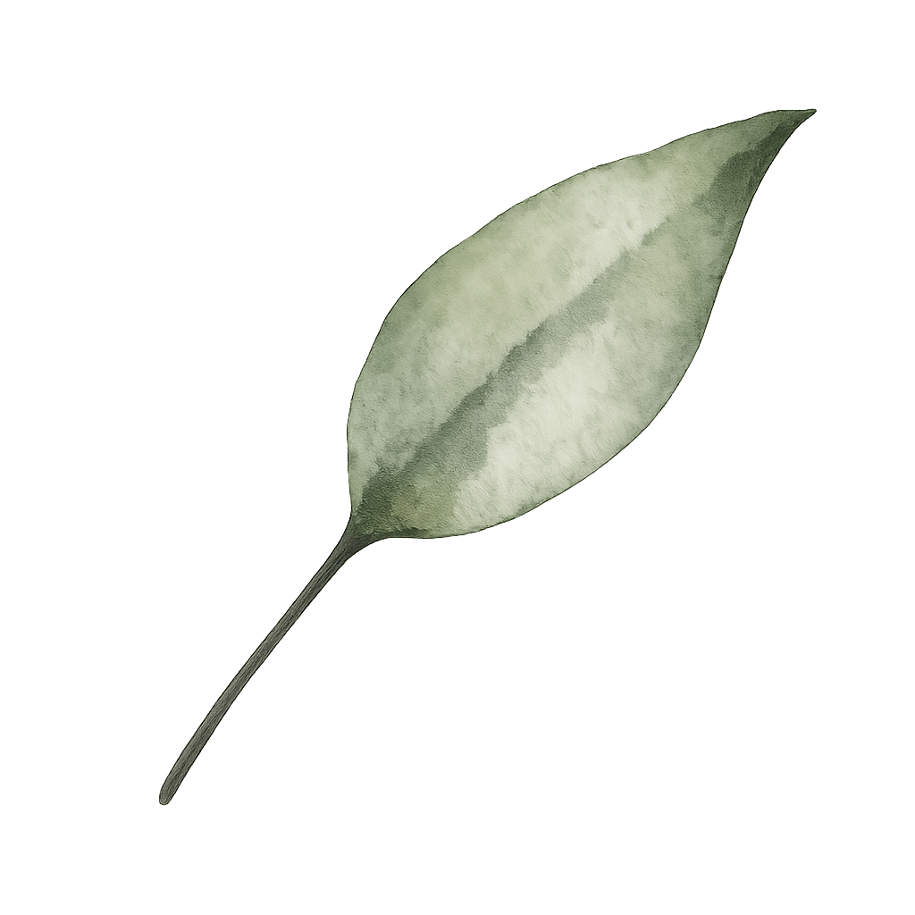 Floating Leaf